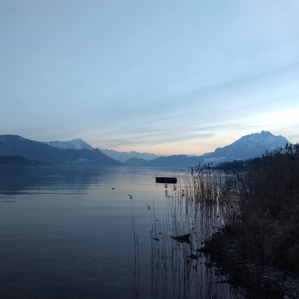 Josephine Wartenberg