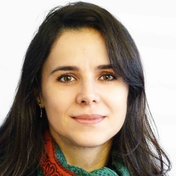 Elaine Tironi